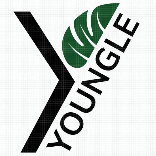 youngle-forl-ausl-romagna