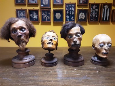 Ravenna raccolta scientifica .jpg