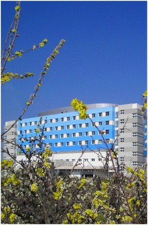 L'ospedale di Rimini