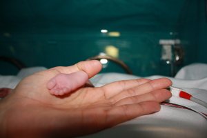 Giornata Mondiale del Neonato Prematuro: le iniziative in Romagna