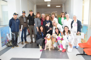 Presentati i progetti di Interventi Assistiti con Animali (Pet -Therapy) all’ospedale di Forlì