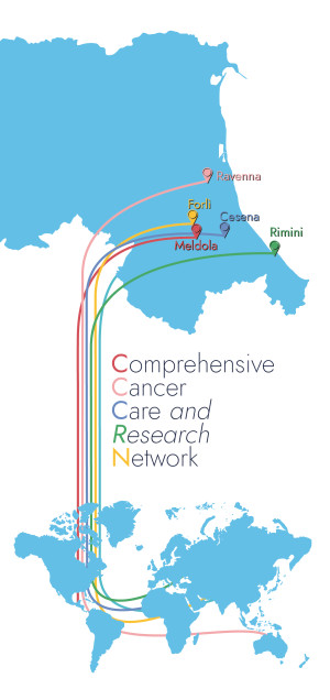 Comprehensive Cancer Care and Research Network:the IRST- AUSL Romagna Strategy to Fight Cancer  (20-22 settembre, Auditorium San Giacomo, Forlì)