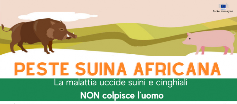 Peste suina africana (PSA)