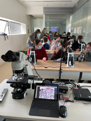Primo giorno di esercitazione di anatomia microscopica per gli studenti iscritti al secondo anno del Corso di Laurea di Medicina e Chirurgia dell&#039;Alma Mater di Forlì. Grande emozione ed interesse per i 95 studenti