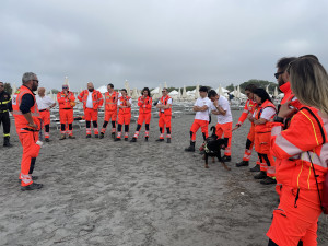 Addestramento congiunto in mare a Cesenatico tra personale 118 Romagna, Vigili del fuoco e marinai di salvataggio
