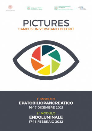 "Pictures epatobiliopancreatico", Campus universitario di Forlì, 17-18 febbraio 2022