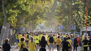 Maratona Alzheimer 2022 tutto pronto per la Marcia dei diritti e la Mezza Maratona dell&#039;11 settembre Cesena - Cesenatico