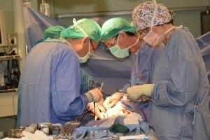 Emergenza Coronavirus e percorsi chirurgici oncologici: il prof.Giorgio Ercolani intervistato dalla giornalista Federica Mosconi