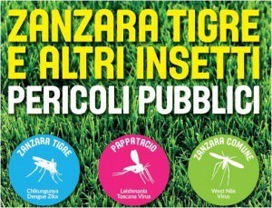 “Zanzara tigre e altri insetti: pericoli pubblici”
